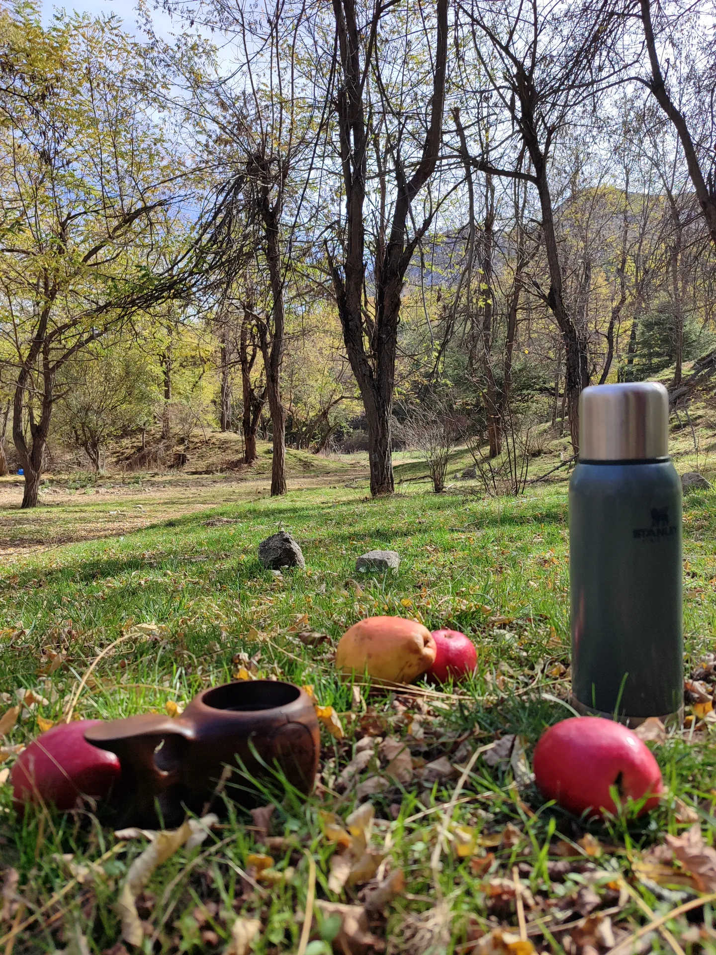 Keşif Yolcuları doğa yürüyüşü
